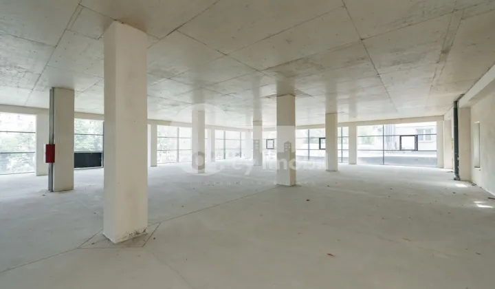 Комм. помещение, Ботаника, ДАЧИЯ