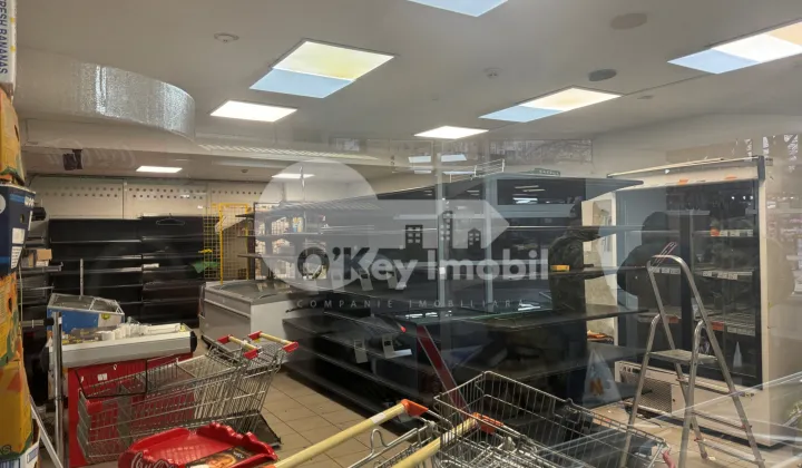 Комм. помещение, Ботаника, ДАЧИЯ