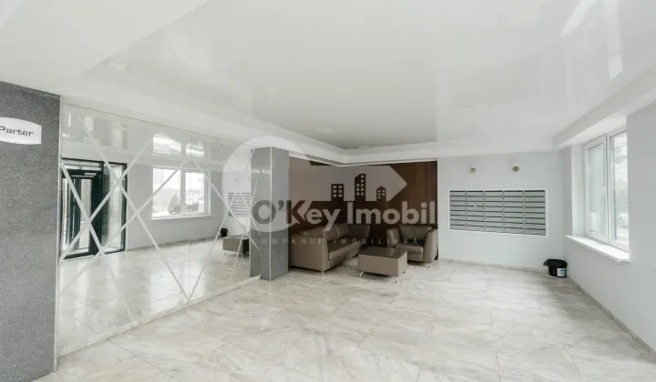 Квартира, Ботаника, ТРАНДАФИРИЛОР