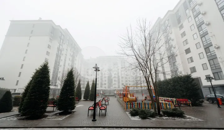 Квартира, Ботаника, ТРАНДАФИРИЛОР