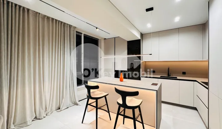 Пентхаус, Чеканы, МИЛЕСКУ СПЭТАРУ