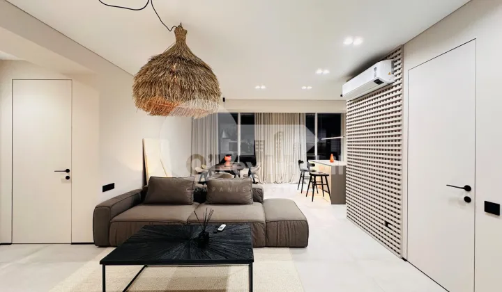 Пентхаус, Чеканы, МИЛЕСКУ СПЭТАРУ