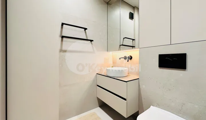 Пентхаус, Чеканы, МИЛЕСКУ СПЭТАРУ