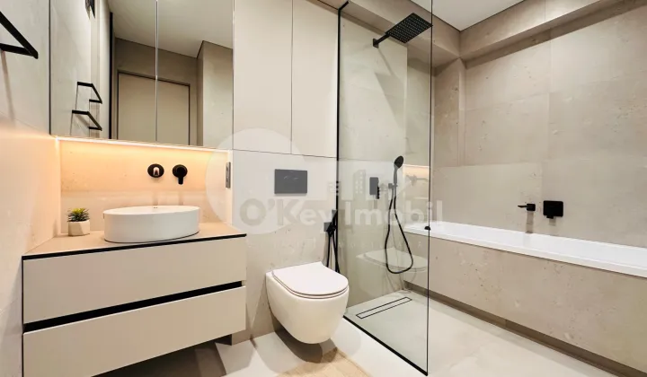 Пентхаус, Чеканы, МИЛЕСКУ СПЭТАРУ