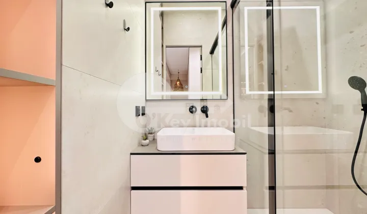 Пентхаус, Чеканы, МИЛЕСКУ СПЭТАРУ