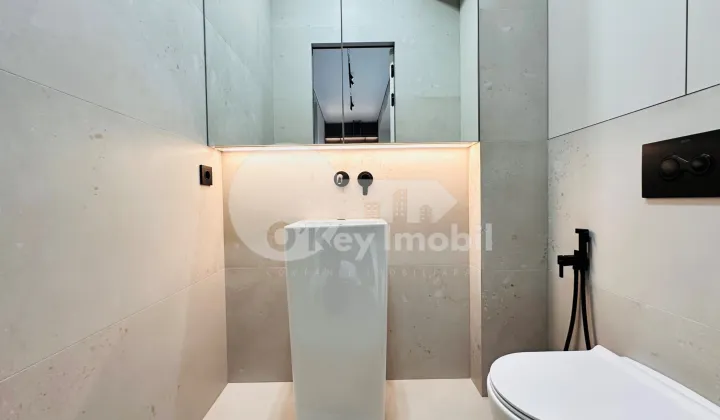 Пентхаус, Чеканы, МИЛЕСКУ СПЭТАРУ