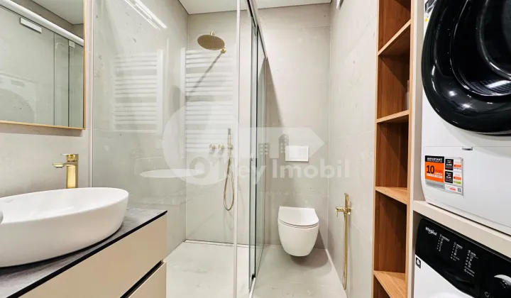 Пентхаус, Чеканы, МИЛЕСКУ СПЭТАРУ