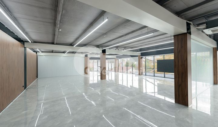 Oficiu, Botanica, CONSTANTIN BRÂNCUȘI