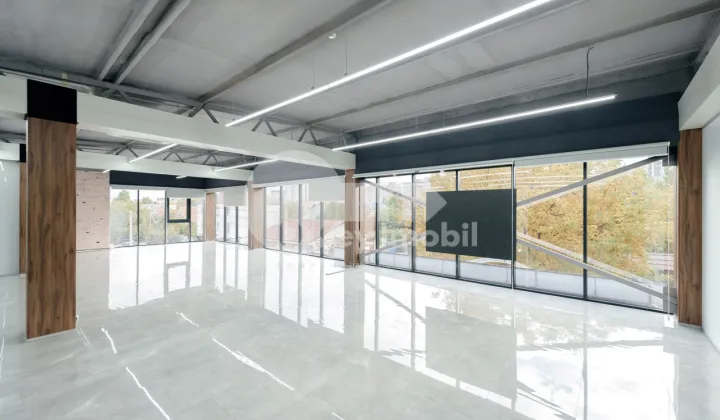 Офис, Ботаника, КОНСТАНТИН БРЫНКУШ