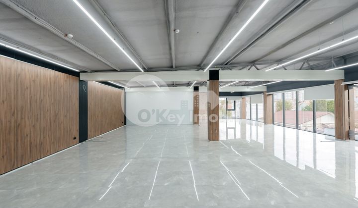 Oficiu, Botanica, CONSTANTIN BRÂNCUȘI