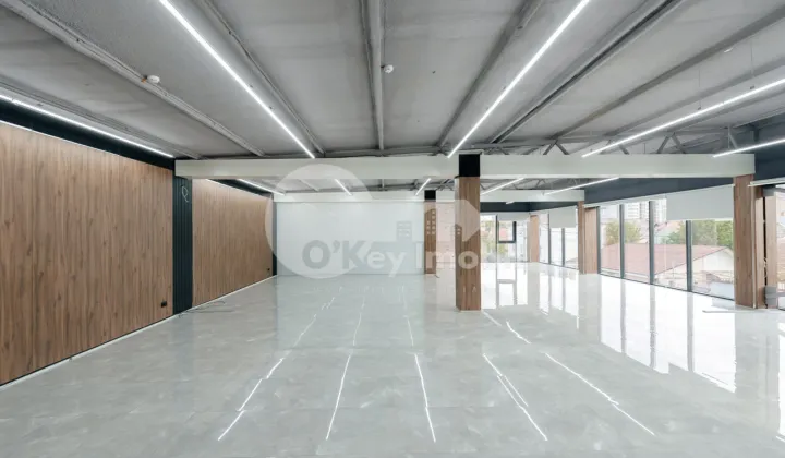 Офис, Ботаника, КОНСТАНТИН БРЫНКУШ