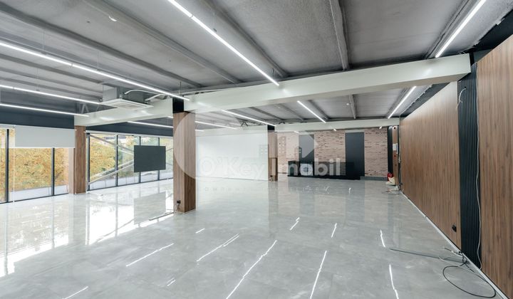 Oficiu, Botanica, CONSTANTIN BRÂNCUȘI