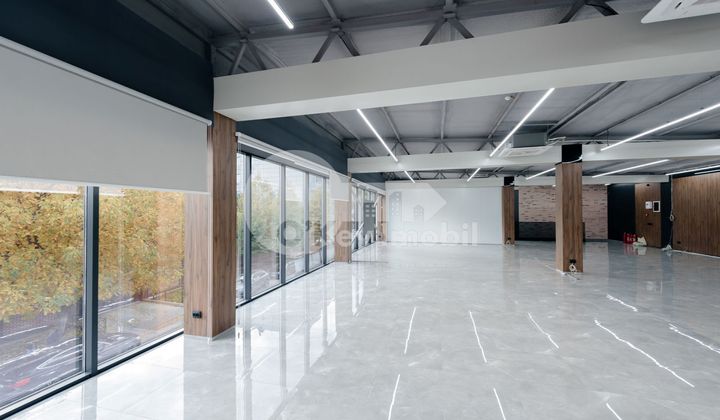 Oficiu, Botanica, CONSTANTIN BRÂNCUȘI