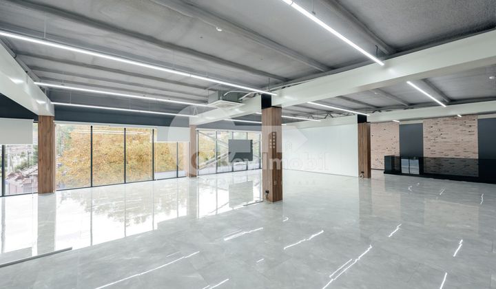 Oficiu, Botanica, CONSTANTIN BRÂNCUȘI