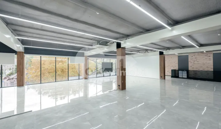 Офис, Ботаника, КОНСТАНТИН БРЫНКУШ