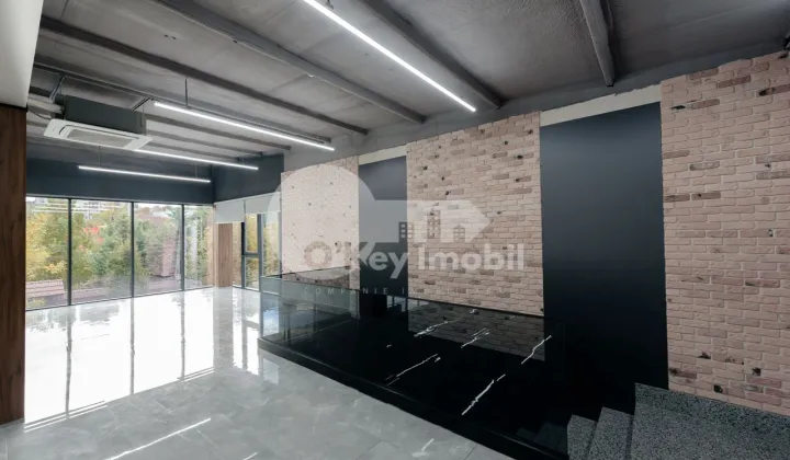 Офис, Ботаника, КОНСТАНТИН БРЫНКУШ