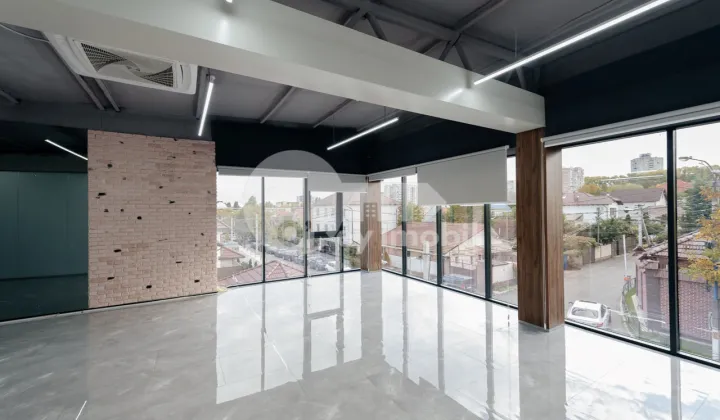 Офис, Ботаника, КОНСТАНТИН БРЫНКУШ