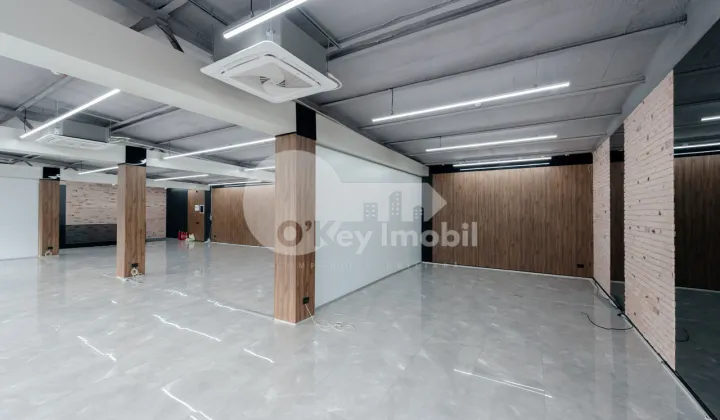 Офис, Ботаника, КОНСТАНТИН БРЫНКУШ