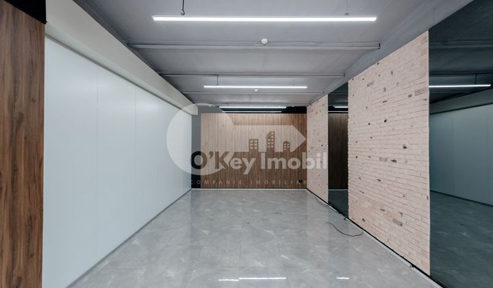 Oficiu, Botanica, CONSTANTIN BRÂNCUȘI