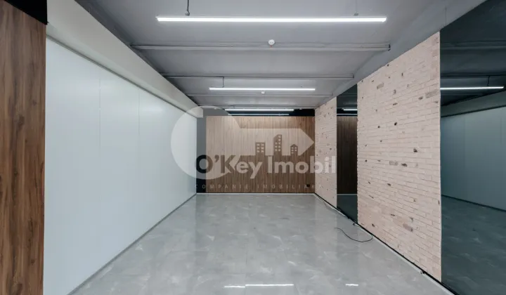 Офис, Ботаника, КОНСТАНТИН БРЫНКУШ