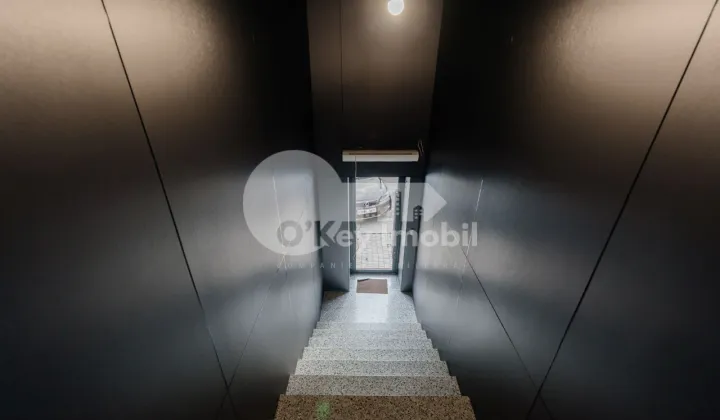 Офис, Ботаника, КОНСТАНТИН БРЫНКУШ