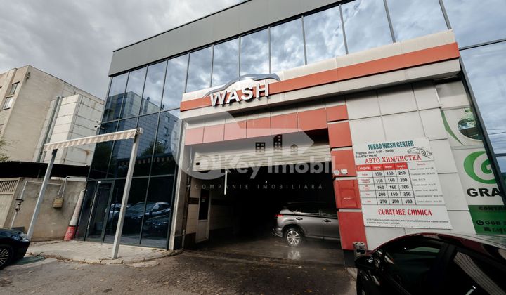 Oficiu, Botanica, CONSTANTIN BRÂNCUȘI