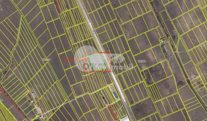 Земельный участок, Буюканы, ШОСС. БАЛКАНЫ