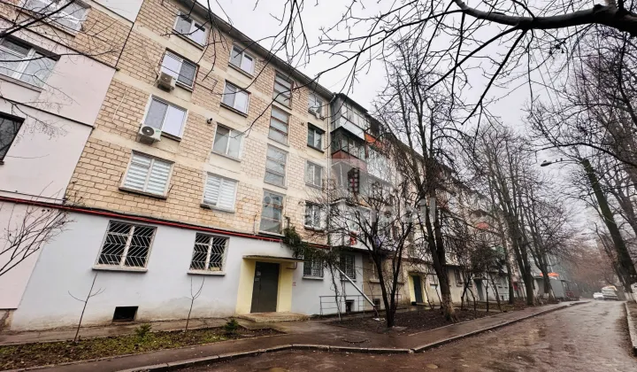 Квартира, Ботаника, ДАЧИЯ