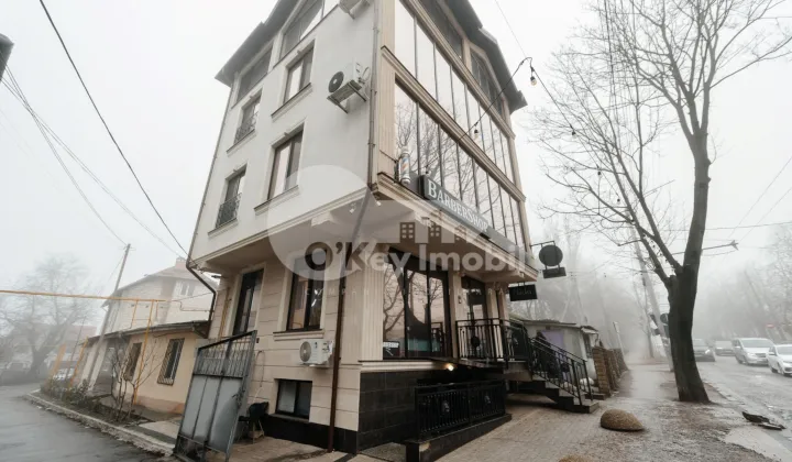 Комм. помещение, Телецентр, ГЕОРГЕ АСАКИ