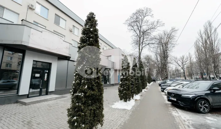 Spațiu comercial, Botanica, SARMIZEGETUSA
