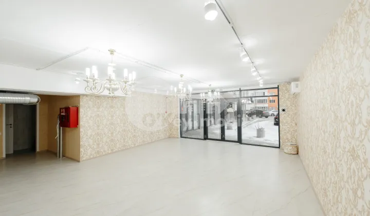 Spațiu comercial, Centru, NICOLAE TESTEMIȚANU