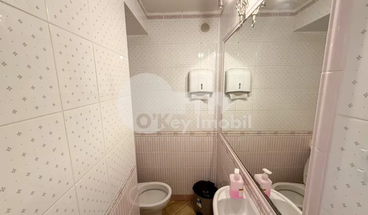 Spațiu comercial, Centru, ALEXEI MATEEVICI