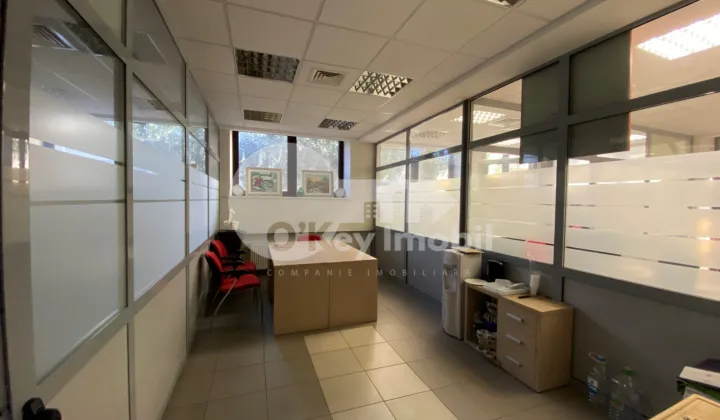 Oficiu, Centru,  ALEXANDR PUȘKIN