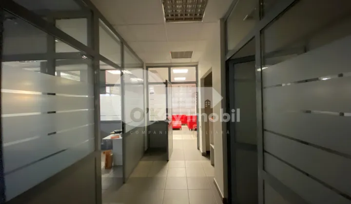 Oficiu, Centru,  ALEXANDR PUȘKIN