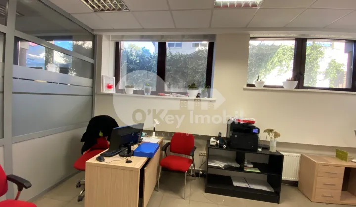 Oficiu, Centru,  ALEXANDR PUȘKIN