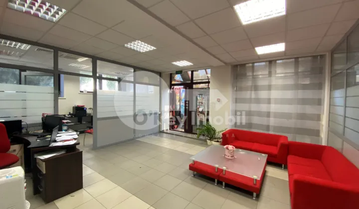 Oficiu, Centru,  ALEXANDR PUȘKIN