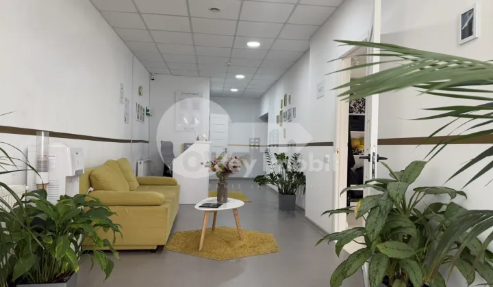 Spațiu comercial, Buiucani, ALBA IULIA