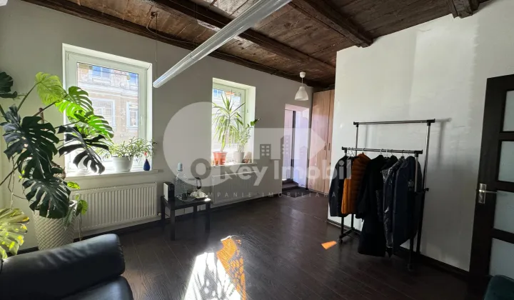 Spațiu comercial, Centru, ALEXANDRU LĂPUȘNEANU