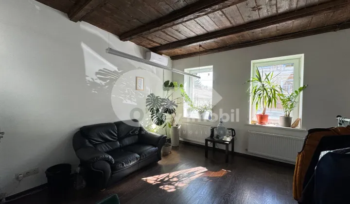 Spațiu comercial, Centru, ALEXANDRU LĂPUȘNEANU