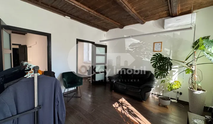 Spațiu comercial, Centru, ALEXANDRU LĂPUȘNEANU