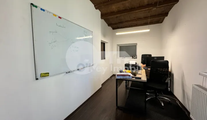 Spațiu comercial, Centru, ALEXANDRU LĂPUȘNEANU