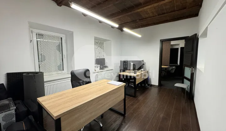 Spațiu comercial, Centru, ALEXANDRU LĂPUȘNEANU