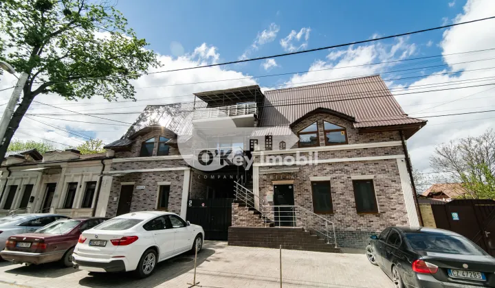 Spațiu comercial, Centru, ALEXANDRU LĂPUȘNEANU