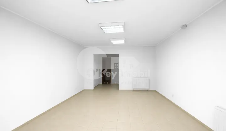 Spațiu comercial, Centru, ALEXANDR PUȘKIN