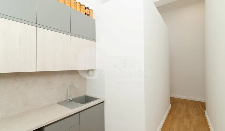 Spațiu comercial, Centru, VLAICU PÂRCĂLAB