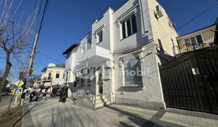 Spațiu comercial, Centru, ALEXEI ȘCIUSEV