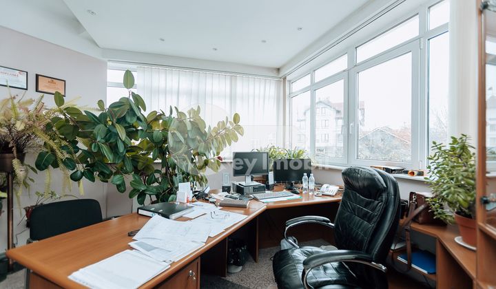 Oficiu, Botanica, BUREBISTA