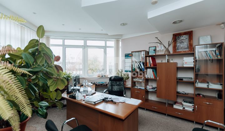 Oficiu, Botanica, BUREBISTA