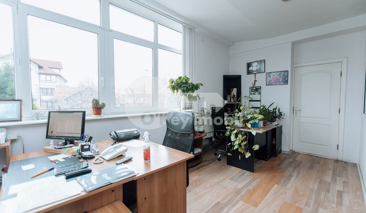 Oficiu, Botanica, BUREBISTA