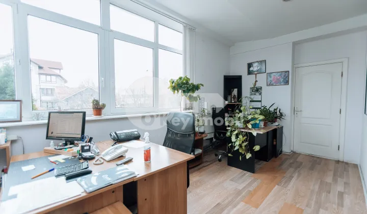 Офис, Ботаника, БУРЕБИСТА